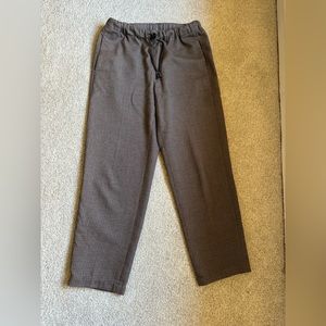Aritzia babaton Jimmy pant